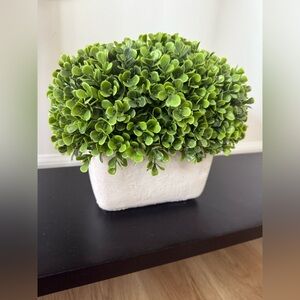 8.5” tall Lush Faux Plant in Concrete Planter